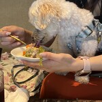 ル レーヴ ドゥ ティム - 