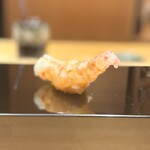 恵比寿 鮨 ふじまさ - 