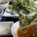 ペンション はなのや - たらの芽