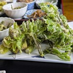 ペンション はなのや - たらの芽、こしあぶら、ふきのとう、こごみ