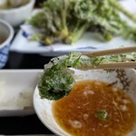 ペンション はなのや - こごみ