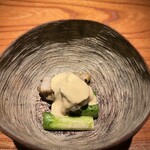 トムクリオーザ - 