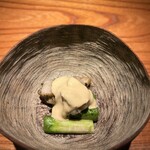 トムクリオーザ - 