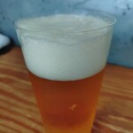 BASE RADICE VERDE - ノンアルビール