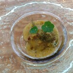 BASE RADICE VERDE - 前菜