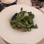 コウジイガラシ オゥレギューム - 