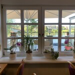 Hotel Café Alt-Piesport - 