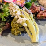 ベジバル チバットリア - 