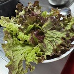 백화양곱창 - 野菜