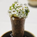 ラ・ヴァガボンド - 蛍烏賊の花のブーケ