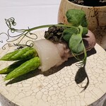 ラ・ヴァガボンド - 猪