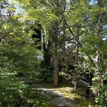 自家焙煎珈琲 森の響 - 