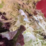 ビーフシチューとハンバーグステーキのお店 BUN吉 - 