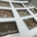 アラビカ東京 麻布台ヒルズB1店 - 