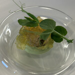 Soil Restaurant - 有明海のハマグリにコンソメジュレとグリーンピースのムース