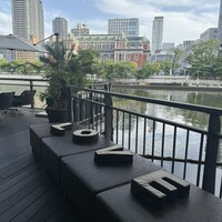 スミレオオサカ - 