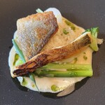 ビストロ エピス - メインのお魚料理スズキのポワレ。下にはアスパラガスとお豆のリゾット　ボリューム満点