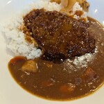 すき家 - 煮込みハンバーグカレー、アップ