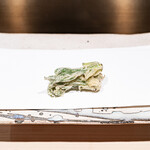 くすのき - 漉油