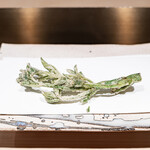 くすのき - 山独活の新芽