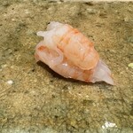 神田錦町 鮨たか晴 - 