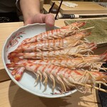 神田錦町 鮨たか晴 - 