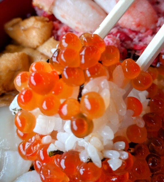 みなとや - 稚内（食堂）の写真