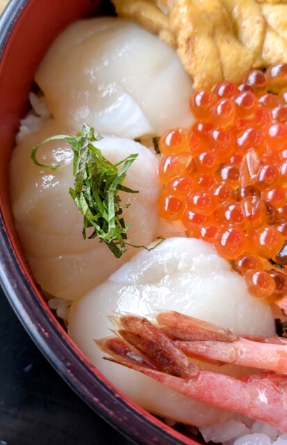 みなとや - 稚内（食堂）の写真