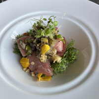 International cuisine subzero - 