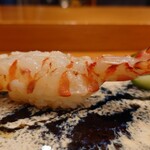 天寿し - 車海老（二番手さん）