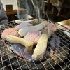モッツバー高の家 - 