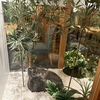 日本料理 花むさし - 