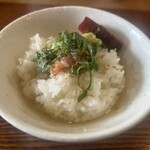 Ramen FeeL - 梅しそライス→お茶漬けへ　シキンボON  お勧めデス！