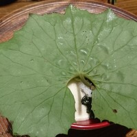 妙見石原荘 食菜石蔵 - 