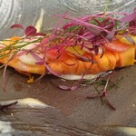 Terroir愛と胃袋 - 