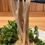 299262456 - クレソンそば