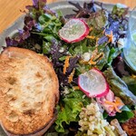 ベジバル チバットリア - 