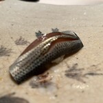 鮨　かねさか - 