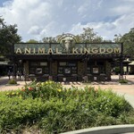 Starbucks - アニマルキングダム