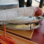 LAT.34°N by 蒼 - 本日の食材