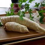 LAT.34°N by 蒼 - 国産モリーユ茸とともに