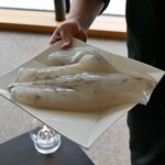 LAT.34°N by 蒼 - 長井さかな人 長谷川さんより 神経〆障泥鳥賊