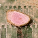 とんかつ乃ぐち - 純粋ヨークシャー ロース