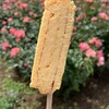 玉進