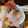 シハチ鮮魚店  狸COMICHI店