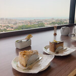 スカイバー カプリコン - 