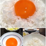 礒田 - 京たまごでTKG