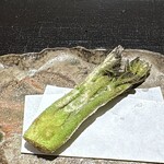 礒田 - タラの芽・山梨天然物