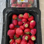 吉野麦米 - よつぼし♡恋みのり