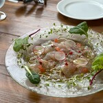 TRATTORIA PIZZERIA 207 葉山本店 - 